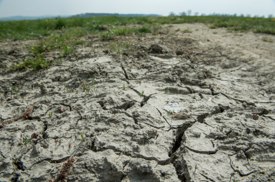 Na řadě míst Česka se může brzy rozvinout půdní sucho ve vrstvě do 40 cm