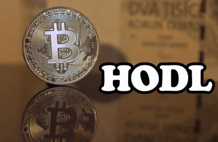 Dlouhodobí investoři nakupují 800 000 BTC každý měsíc