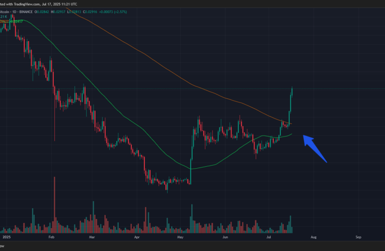 Ethereum posiluje vůči Bitcoinu. Altcoinová sozóna na spadnutí?